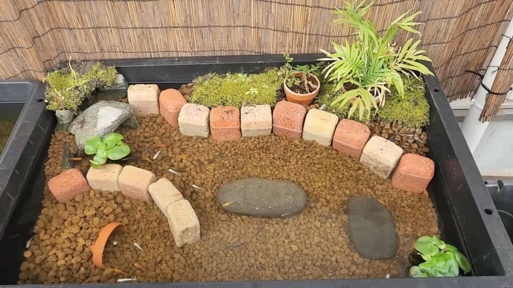 完成したビオトープを上から撮った映像