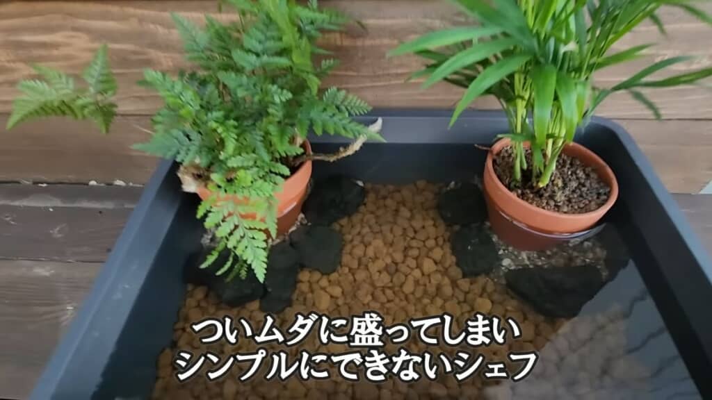 100円均一ショップの商品だけで作った別のビオトープ