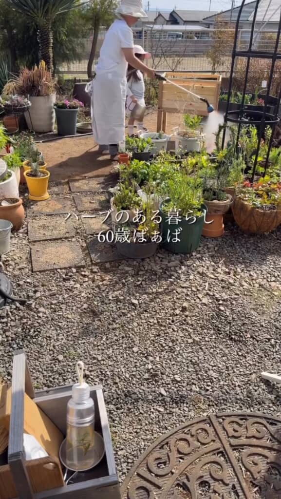 ばぁばさんのハーブガーデン