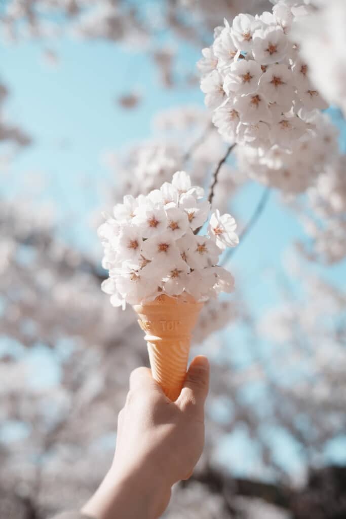 桜を撮るときに……アイスのコーンカップを使う！