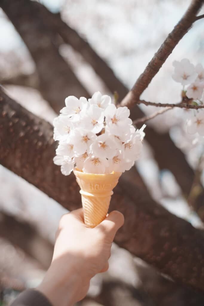 「今日のデザートは、春！」