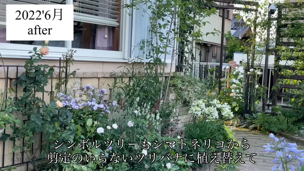 この先の庭は、どんな姿になっていくのでしょうか