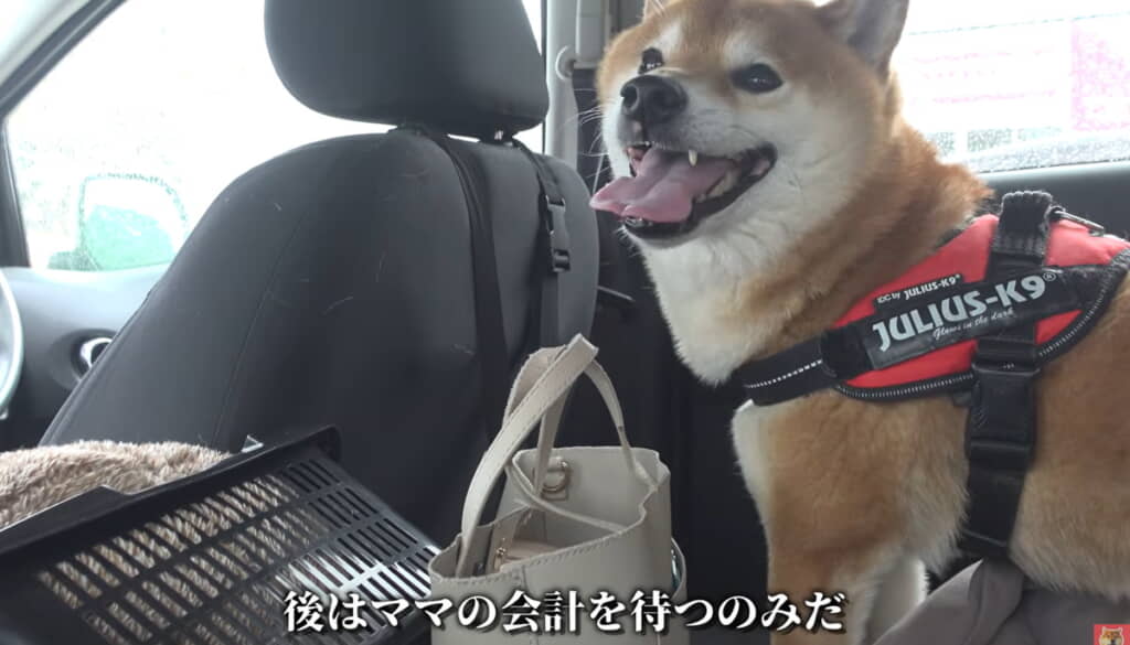 あとは会計を待つのみのはずが……