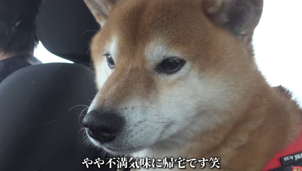 2回目も頑張りました……！