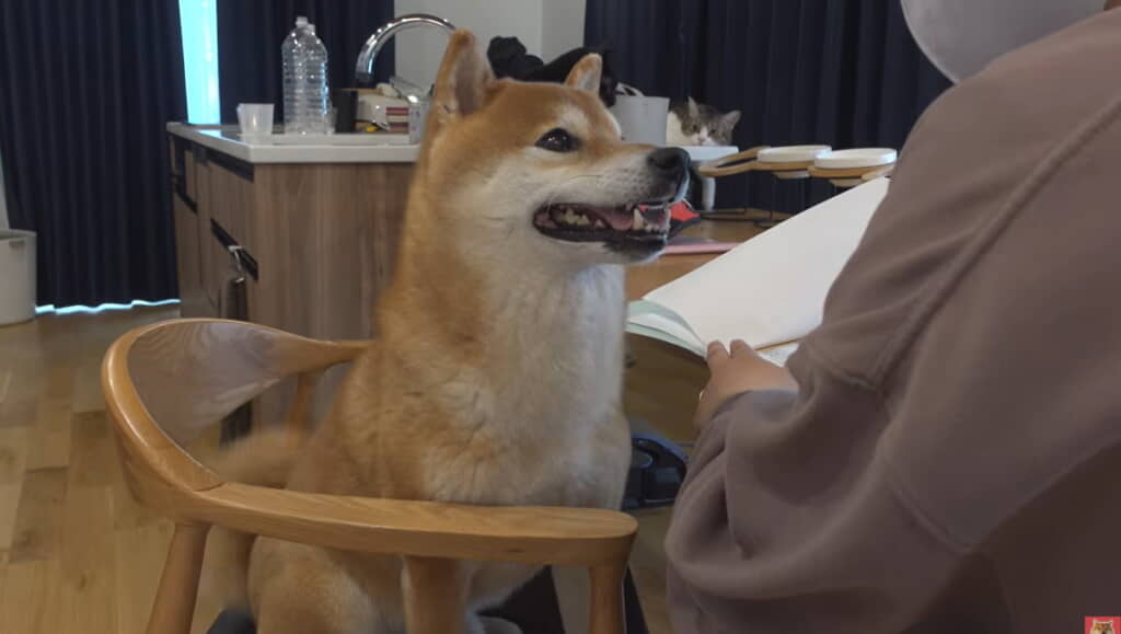 検査結果を聞いて笑顔を見せてくれました◎