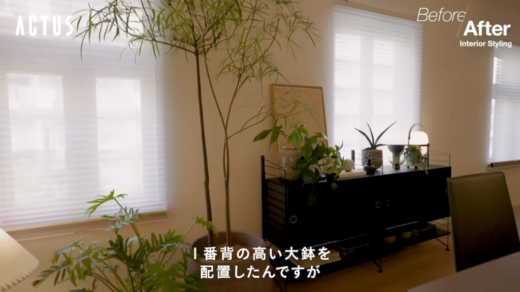 スタンドシェルフとシンボルツリーで壁の余白を解消