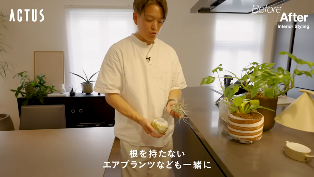 土や根のいらない植物で、キッチン周りも緑豊かな印象に