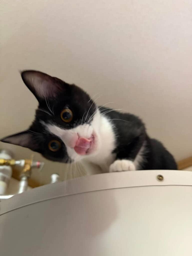 口元をペロッとひとなめ