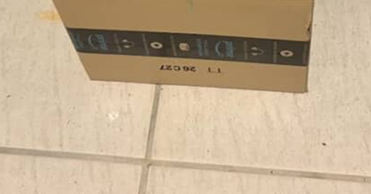 Amazonから届いた「置き配」→見に行くと……　まさかの光景に「これはニヤニヤしちゃいますね！」「これ見たさにまた頼みそう」（1/2） | ライフスタイル ねとらぼ