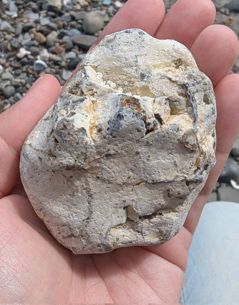 九十九湾で見つけた灰色がかったベージュ色の石