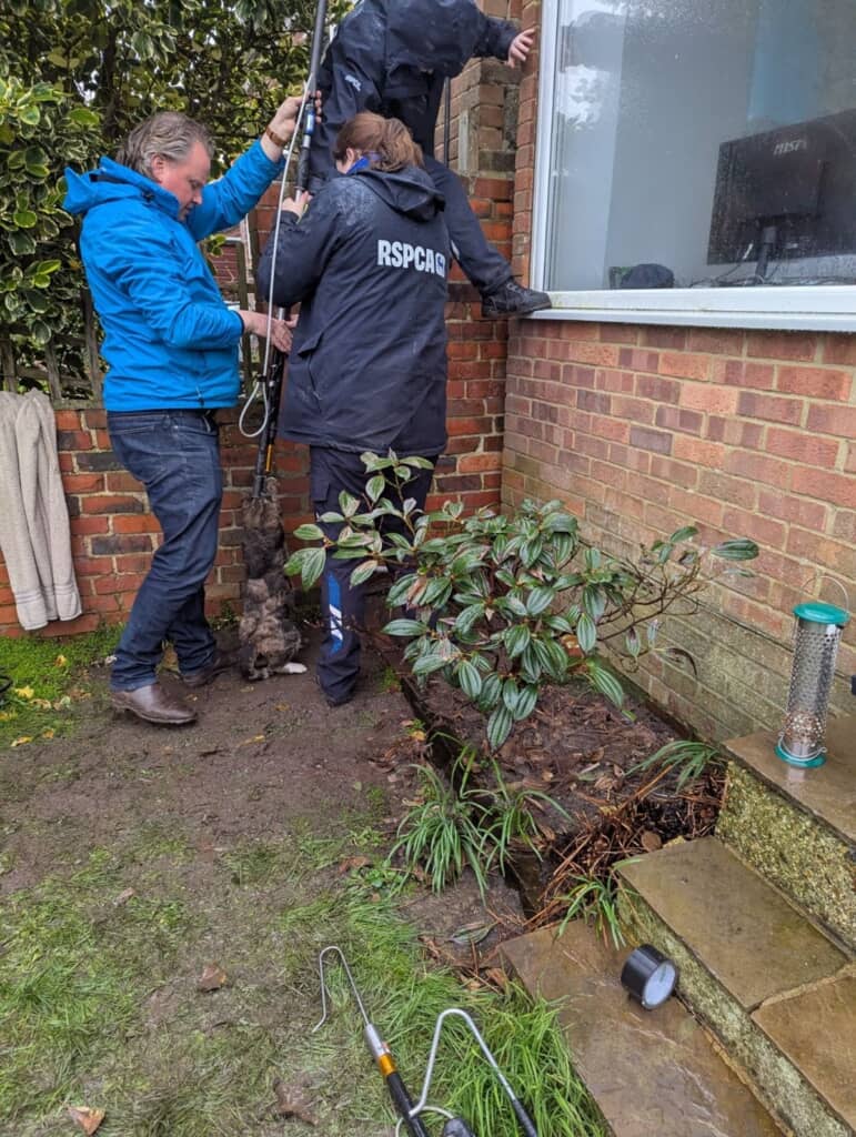 猫の救助に奔走する救助チーム