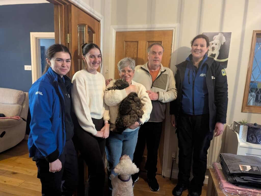 救助後マイクロチップから飼い主が判明