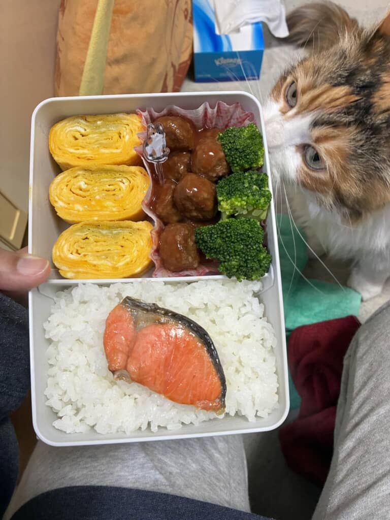 登校初日のお弁当