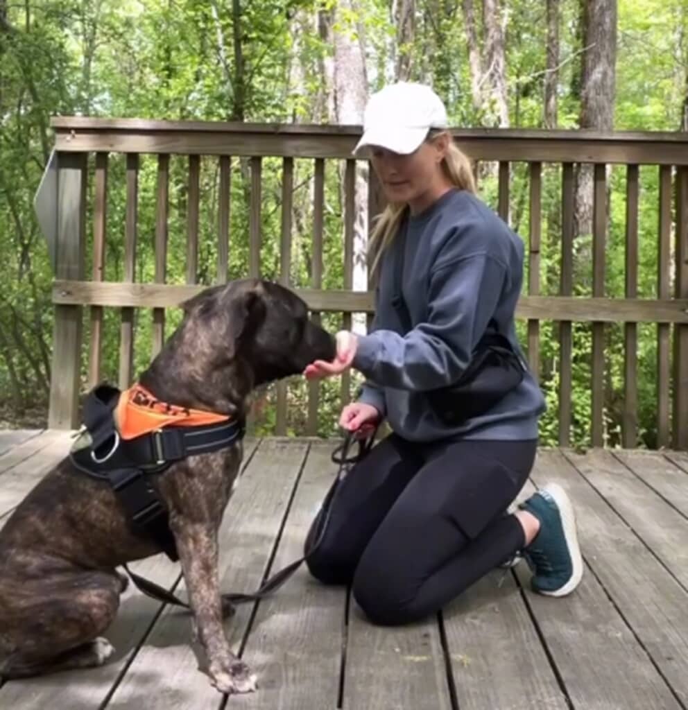 終始穏やかでやさしい性格を見せていたレックス