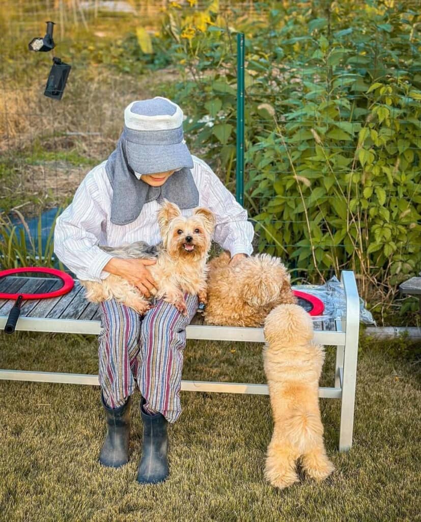 実は犬好きなお隣さんから借りた土地でした