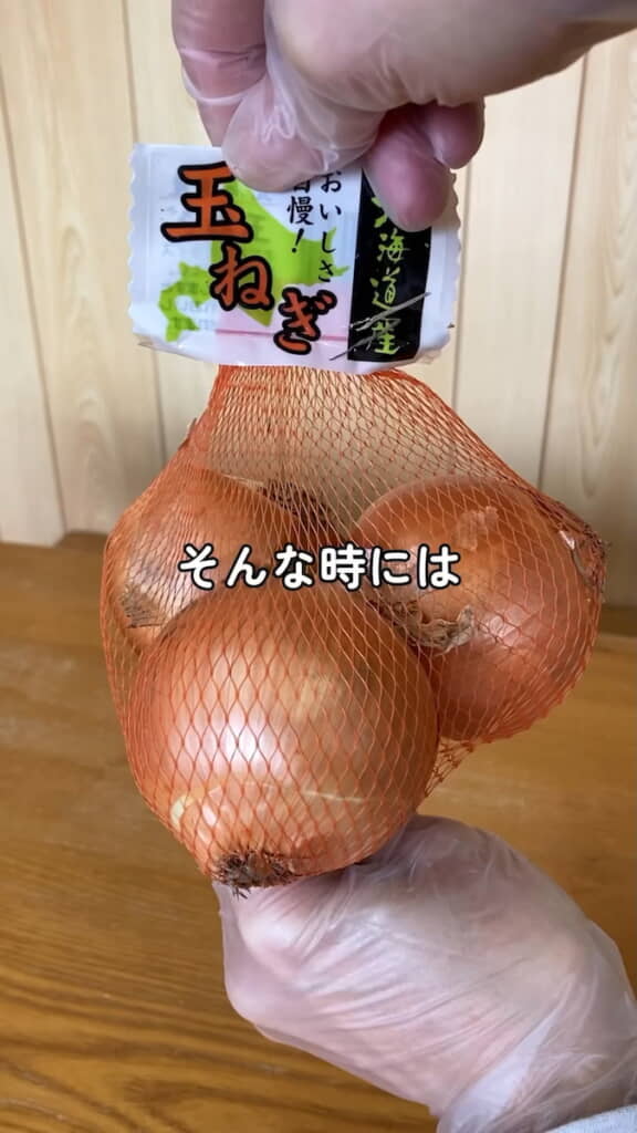 動画ではタマネギのネットを流用