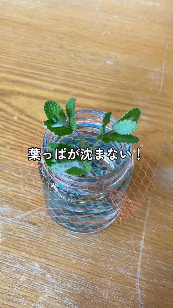 ……葉が沈まない！