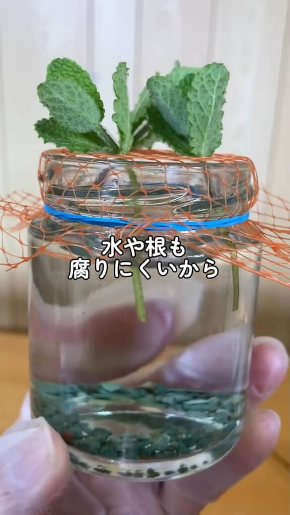 瓶の中にゼオライトを入れるのがおすすめ！