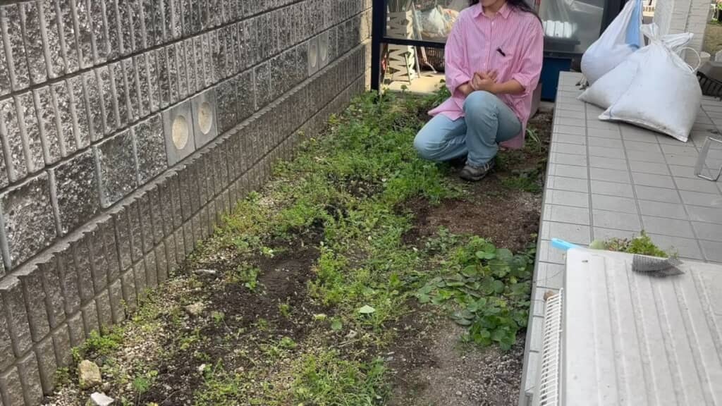 草が生えている実家の庭でノー・ディグ栽培の方法を解説