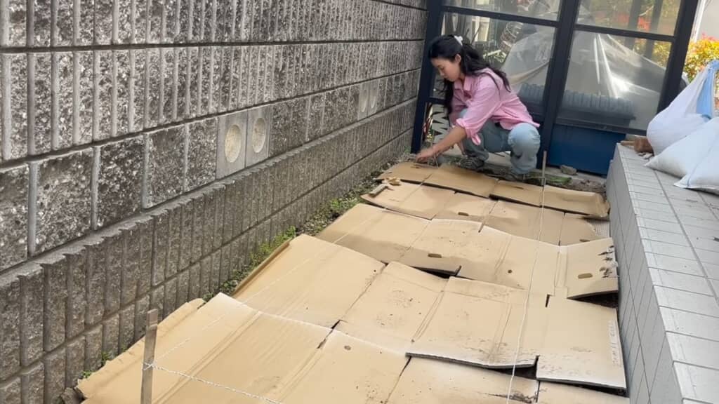 通路と畝になる部分を複数枚の段ボールで覆う