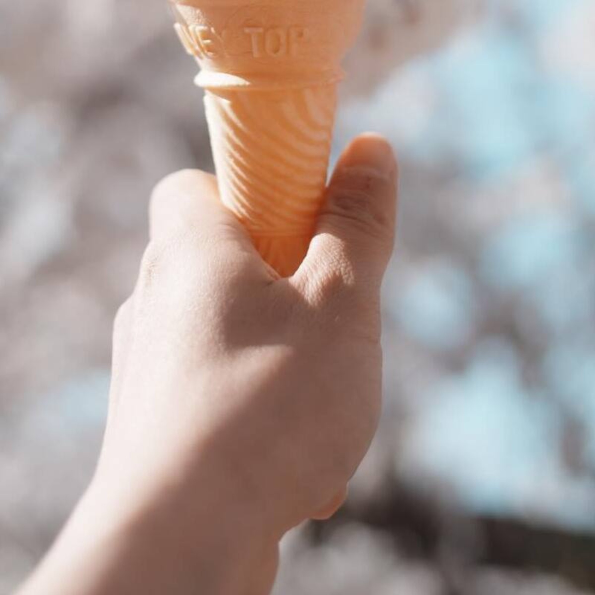アイスのコーンを持ってお花見へ→カメラを構えると……　奇跡の光景に「うわァァァ、すてき」「天才がいるよー」「脱帽です！」（1/3） | 写真 ねとらぼ