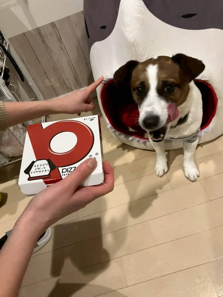 こ、これは……！