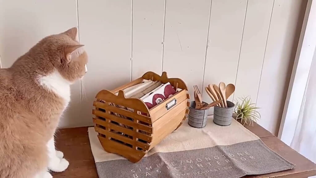 ランチョンマットを収納してみた様子