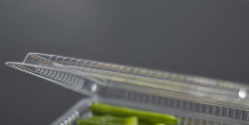 お弁当といっても、市販のパックでは？　と思いきや……