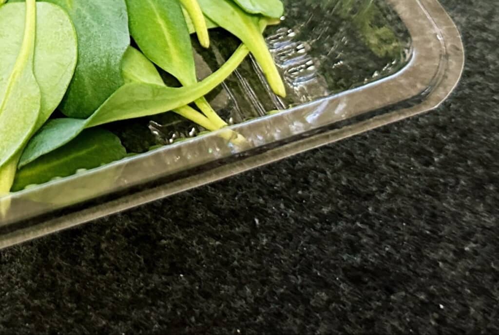 オイスターリーフを食べてみた