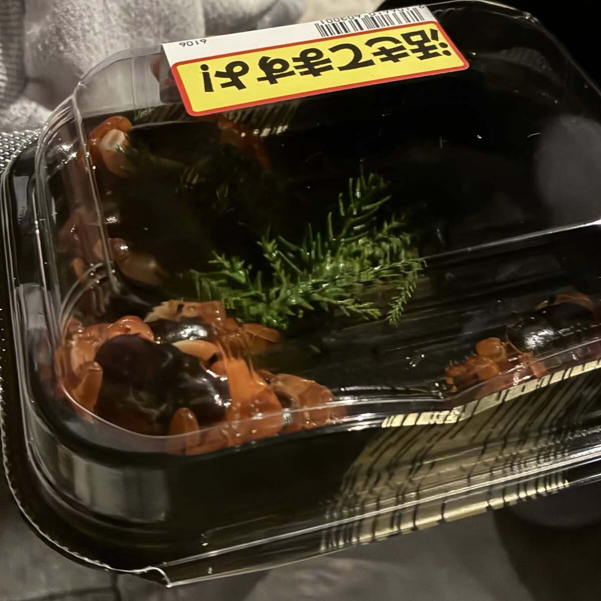 ロピアで「300円だから！」と買ったサワガニ→帰宅後……　思わぬ光景に「いやあああああああ」「オレら、生きられるよな？」 | ライフスタイル ねとらぼ