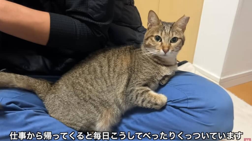 ふたりは恋人のような関係