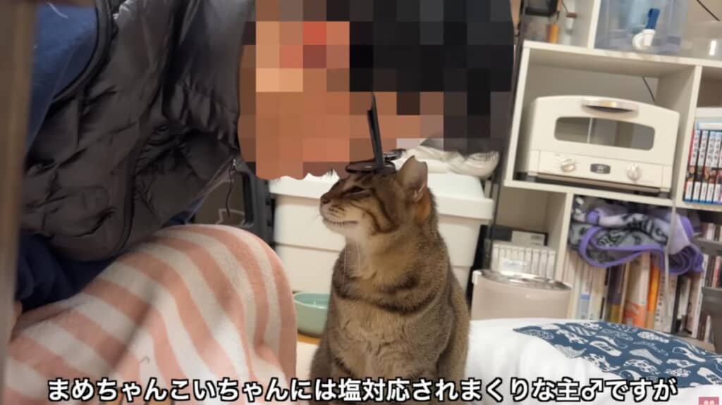 ずっとラブラブでいてね！