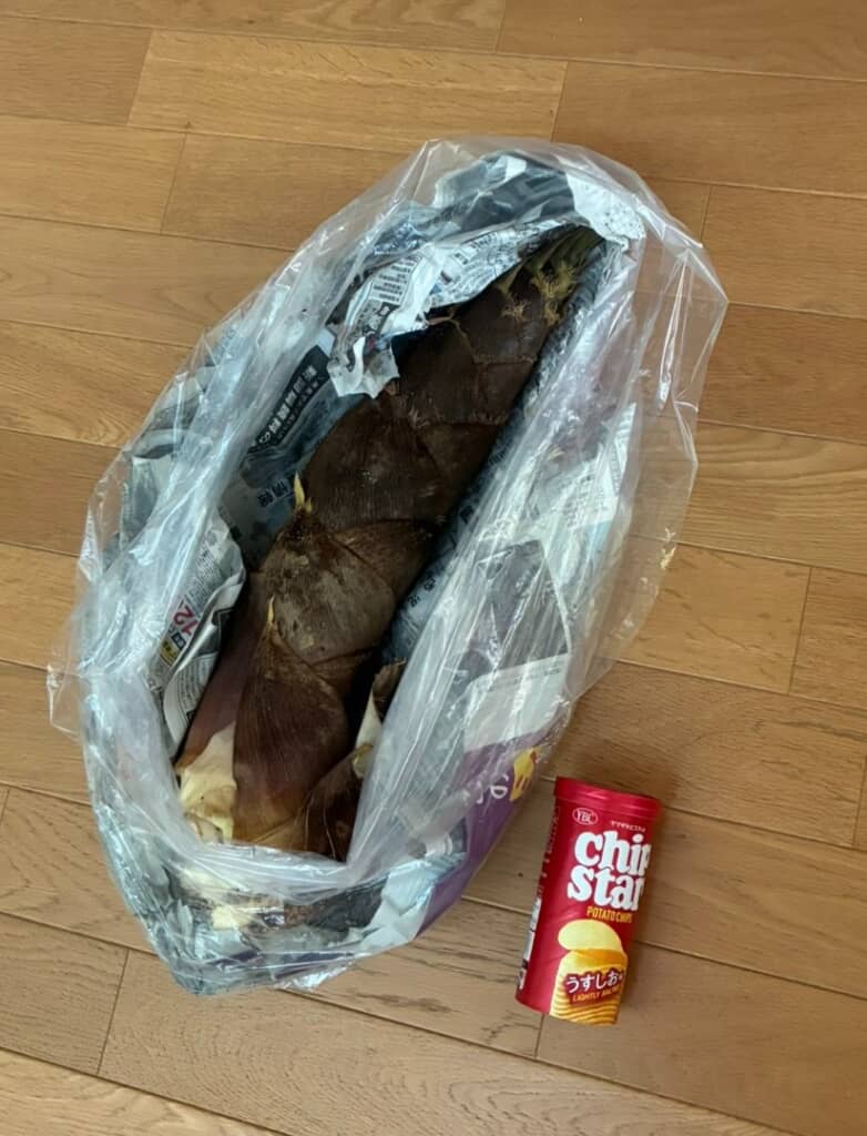 でっ……かい！