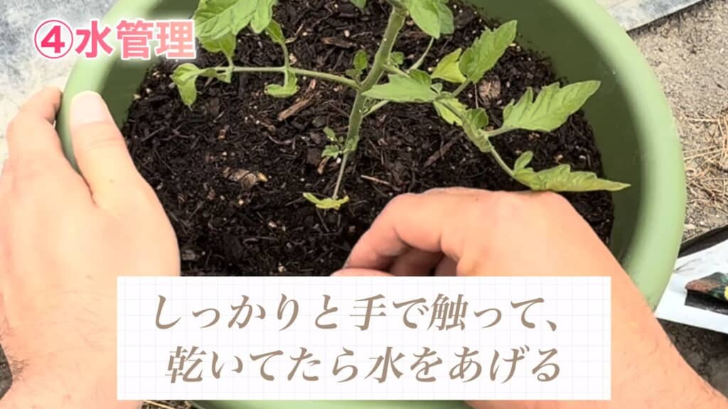 指でプランターの土を触って確認