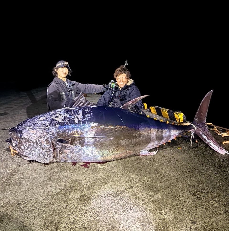 仲間と力を合わせてなんとか釣り上げた