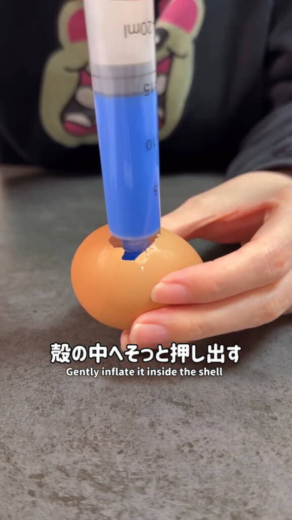 殻の中で黄身の大きさになるまで……
