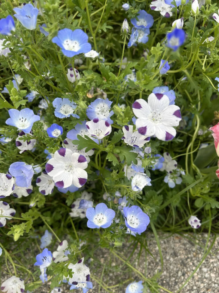 おわかりいただけただろうか……？