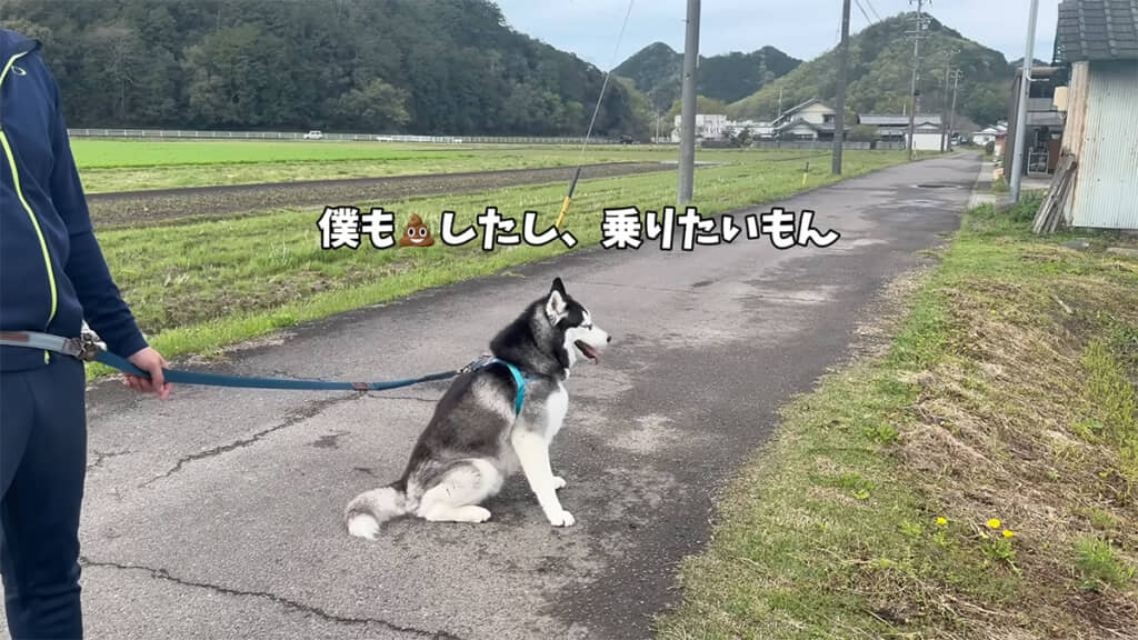 ヤドカリ号に乗りたいおこめくん