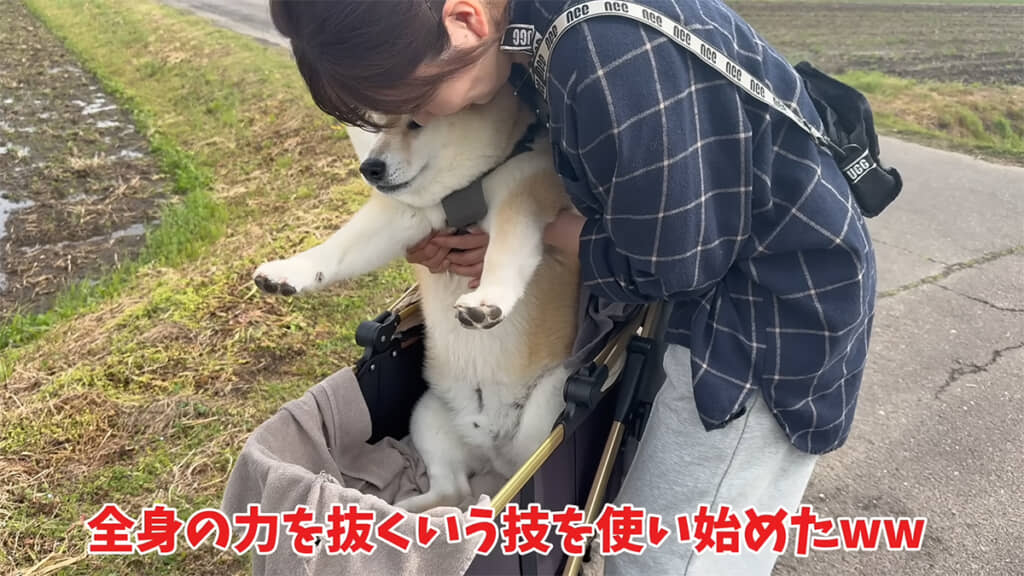 絶対にヤドカリ号から降りたくないおもちくん