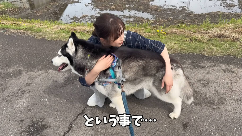最終手段に出ます