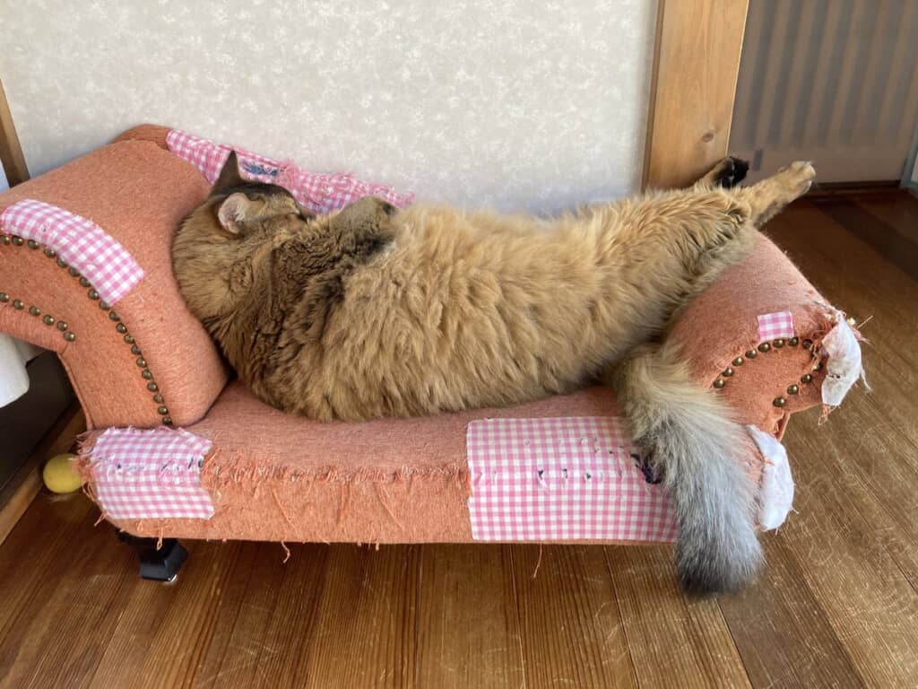 エビフライ？