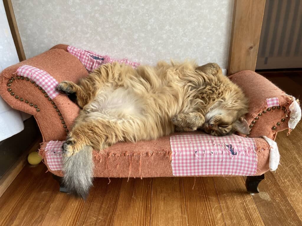 本日も気持ちよさそうです◎