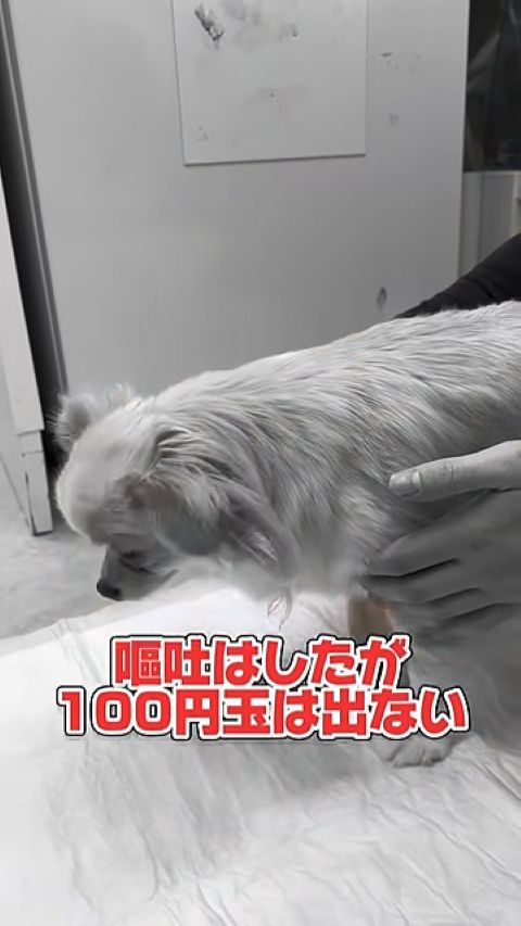 そう簡単には出てきてくれません