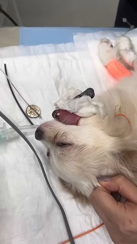 無事取り出せました！