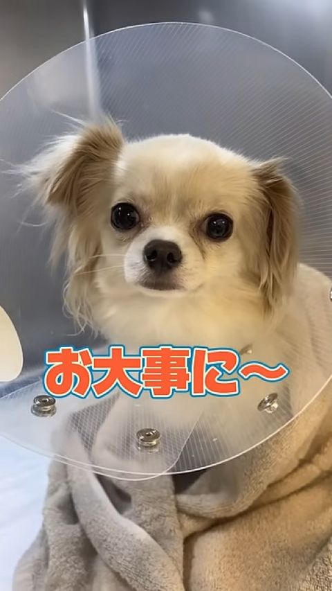 元気になって良かったね