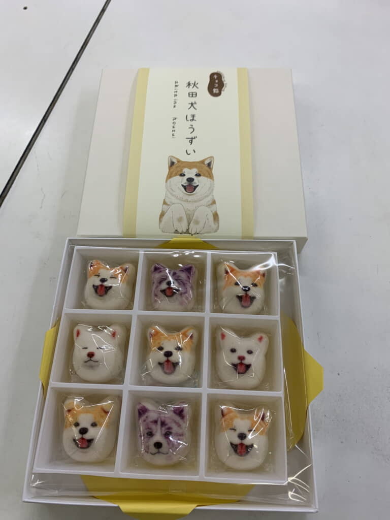 秋田犬がずらり！　かわいすぎる……