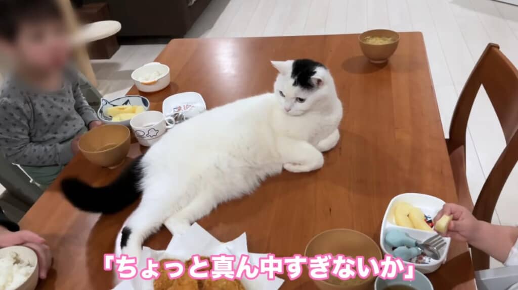 家族だんらんの食卓によく現れるたけるくん
