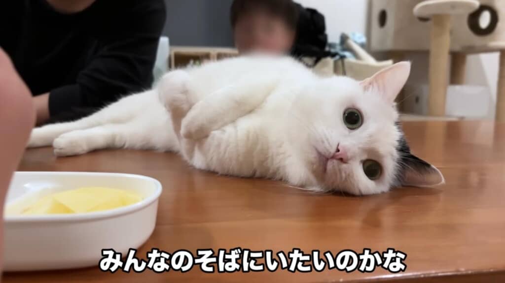 みんなと一緒にいたいのかな？