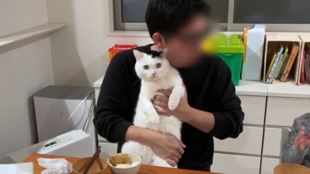 真ん中すぎたのでどかされてしまいます
