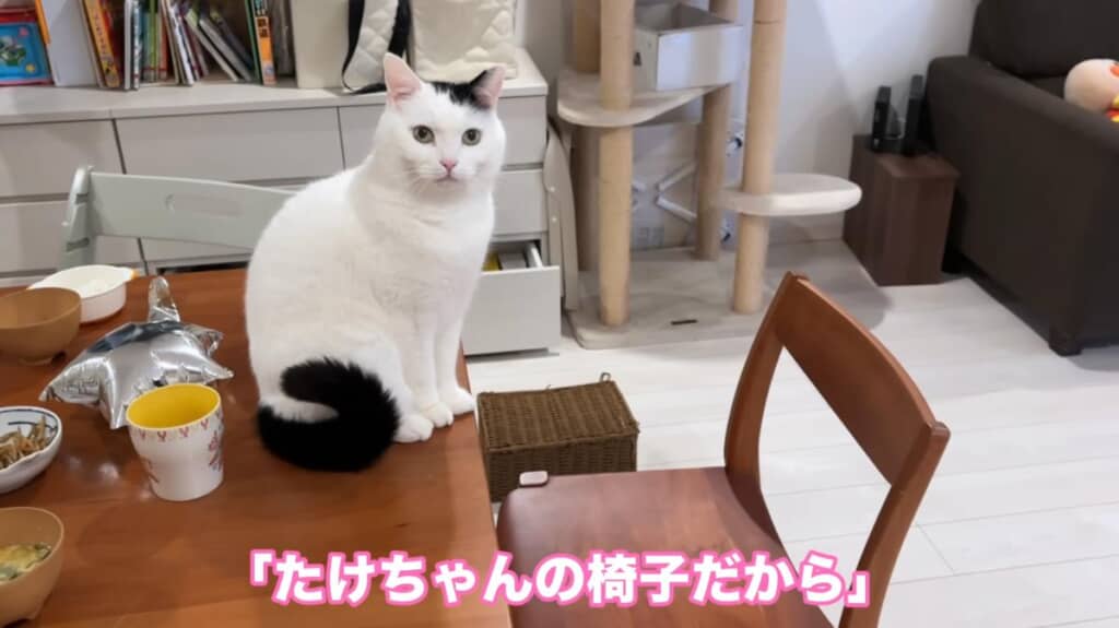 たけるくん専用の椅子を用意